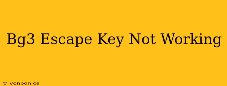 Bg3 Escape Key Not Working