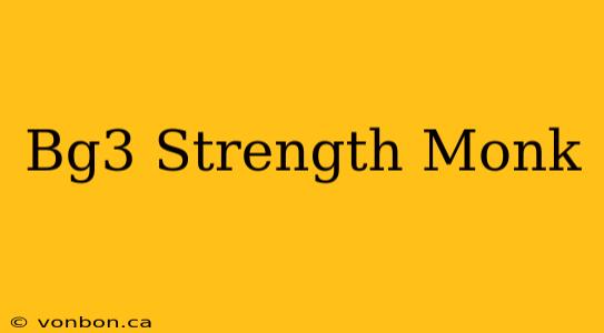 Bg3 Strength Monk