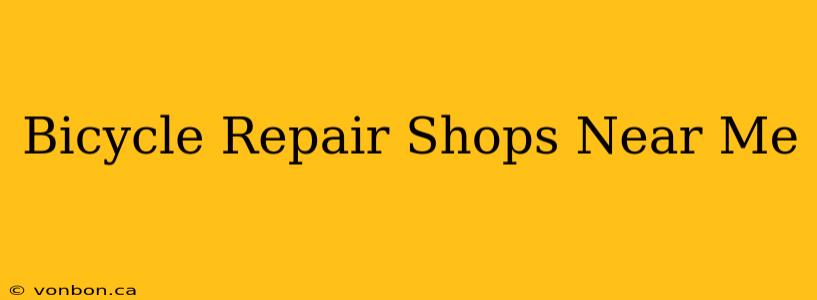 Bicycle Repair Shops Near Me