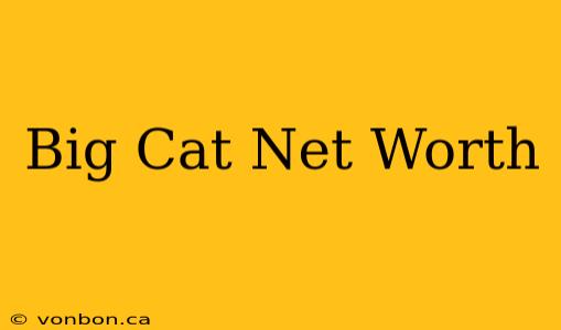 Big Cat Net Worth