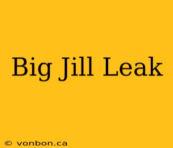 Big Jill Leak