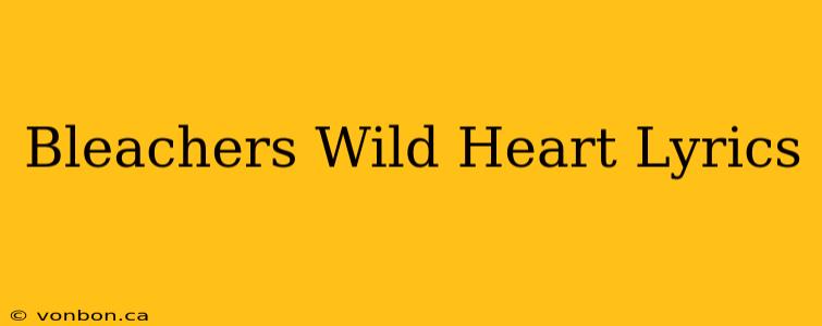 Bleachers Wild Heart Lyrics