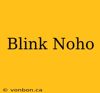 Blink Noho