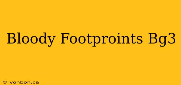 Bloody Footproints Bg3