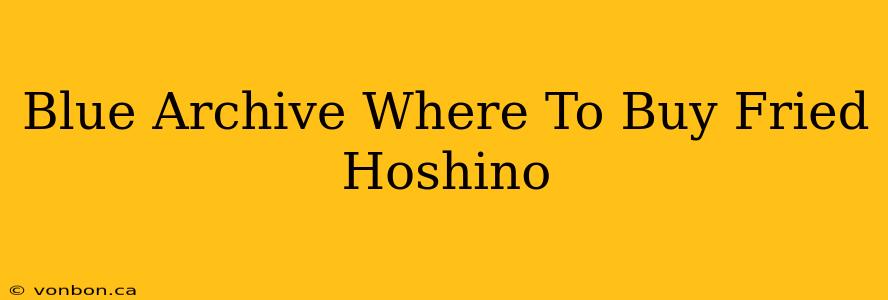 Blue Archive Where To Buy Fried Hoshino