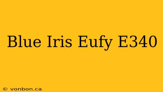 Blue Iris Eufy E340