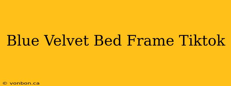 Blue Velvet Bed Frame Tiktok