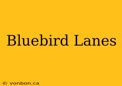 Bluebird Lanes