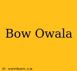 Bow Owala