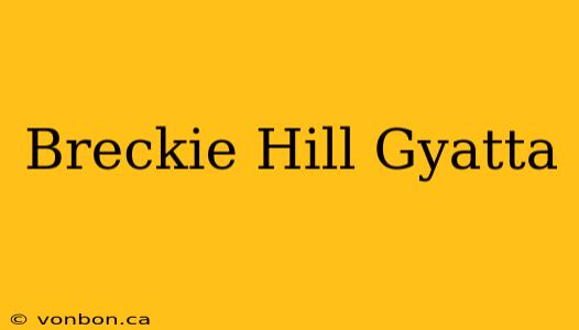 Breckie Hill Gyatta