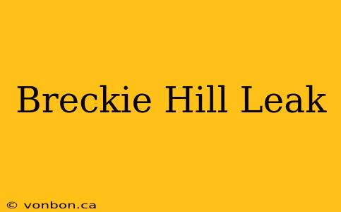 Breckie Hill Leak