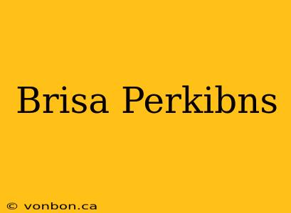 Brisa Perkibns