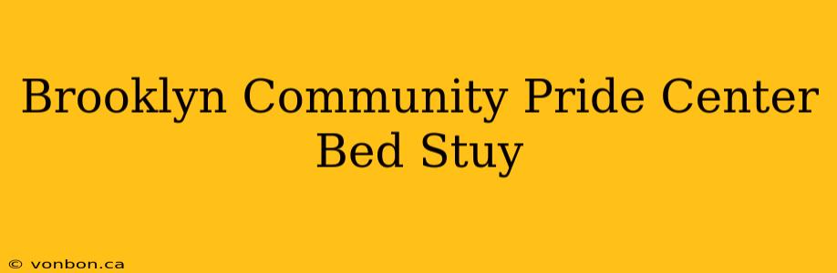 Brooklyn Community Pride Center Bed Stuy