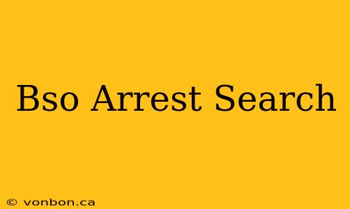 Bso Arrest Search