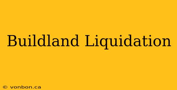 Buildland Liquidation