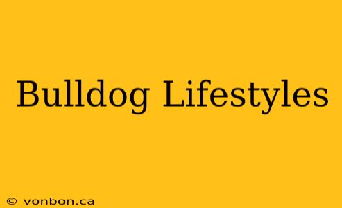 Bulldog Lifestyles