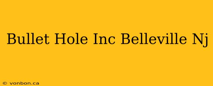 Bullet Hole Inc Belleville Nj