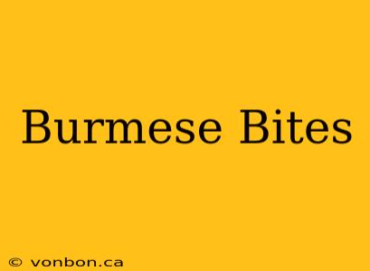 Burmese Bites