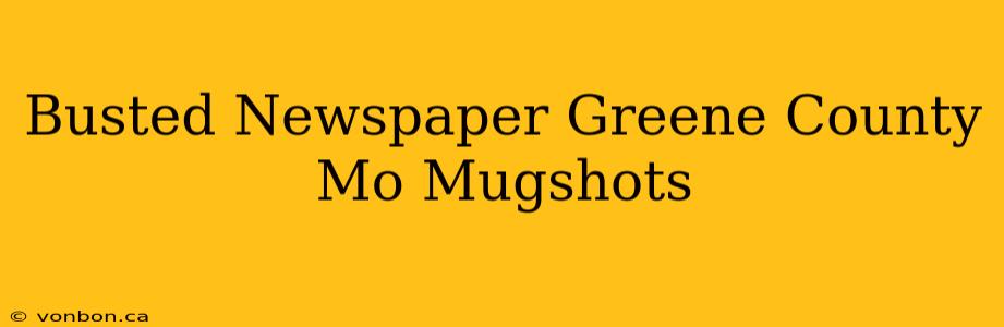 Busted Newspaper Greene County Mo Mugshots