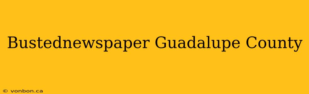 Bustednewspaper Guadalupe County