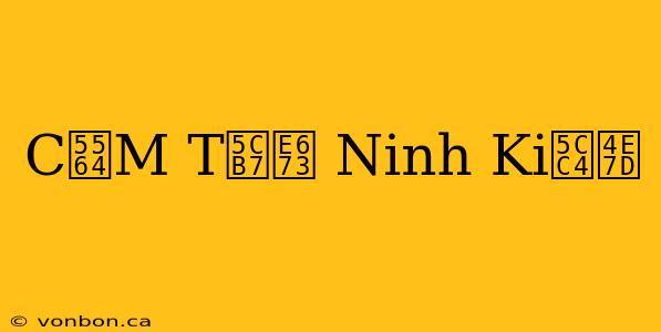 C啤M T岷 Ninh Ki峄乽