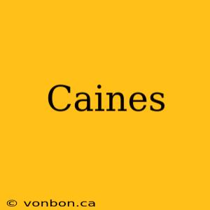 Caines