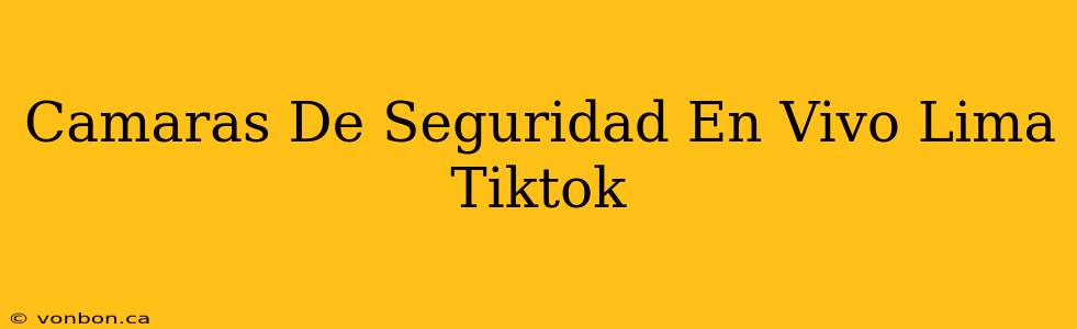 Camaras De Seguridad En Vivo Lima Tiktok