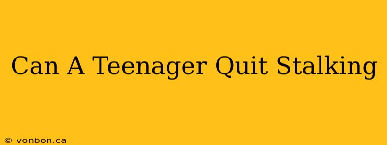 Can A Teenager Quit Stalking