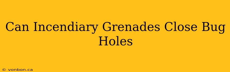 Can Incendiary Grenades Close Bug Holes