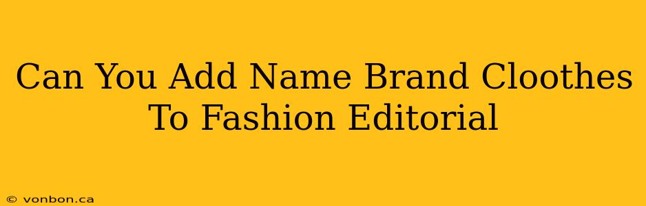 Can You Add Name Brand Cloothes To Fashion Editorial