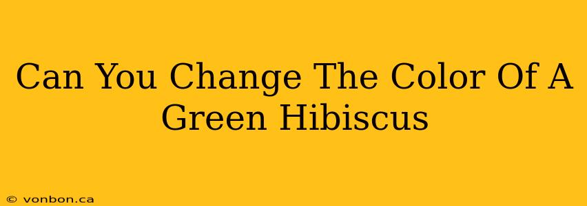 Can You Change The Color Of A Green Hibiscus