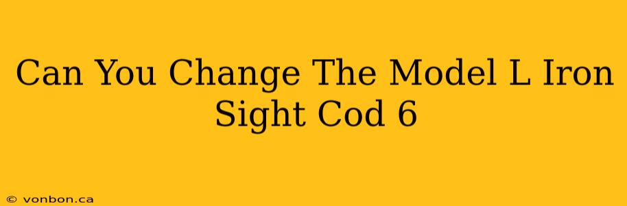 Can You Change The Model L Iron Sight Cod 6