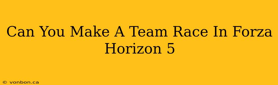 Can You Make A Team Race In Forza Horizon 5