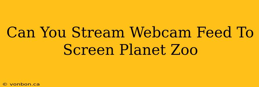 Can You Stream Webcam Feed To Screen Planet Zoo