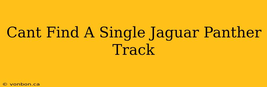 Cant Find A Single Jaguar Panther Track