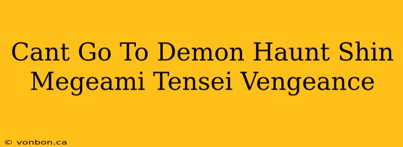 Cant Go To Demon Haunt Shin Megeami Tensei Vengeance