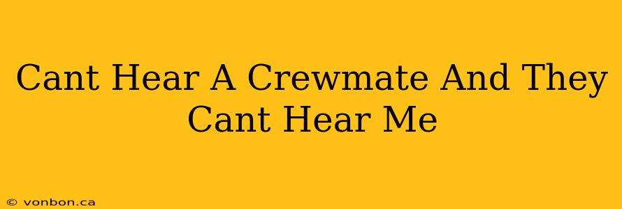 Cant Hear A Crewmate And They Cant Hear Me