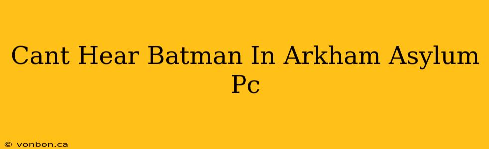 Cant Hear Batman In Arkham Asylum Pc