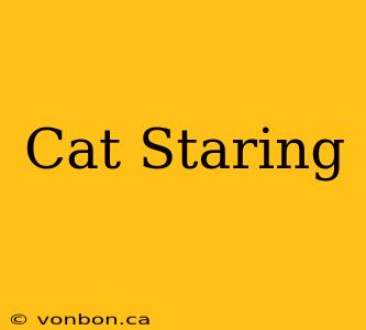 Cat Staring