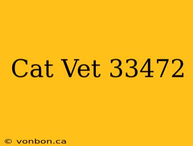 Cat Vet 33472