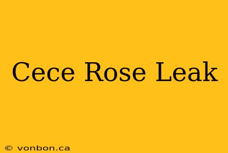 Cece Rose Leak