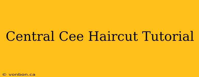 Central Cee Haircut Tutorial