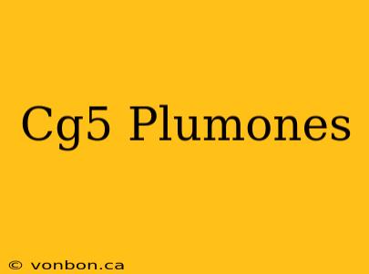 Cg5 Plumones