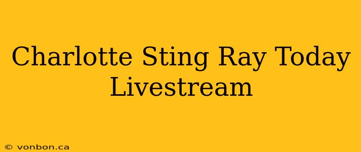 Charlotte Sting Ray Today Livestream