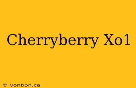 Cherryberry Xo1