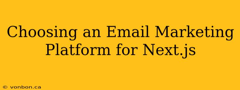 Choosing an Email Marketing Platform for Next.js