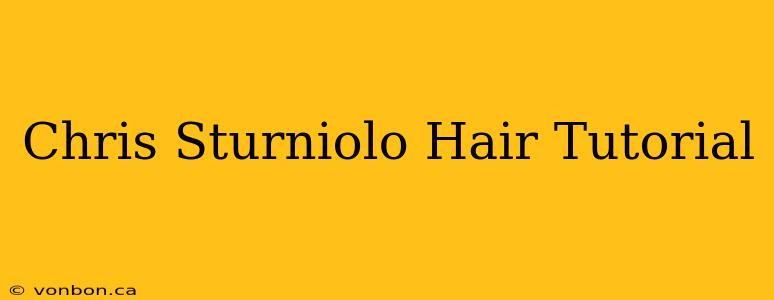 Chris Sturniolo Hair Tutorial