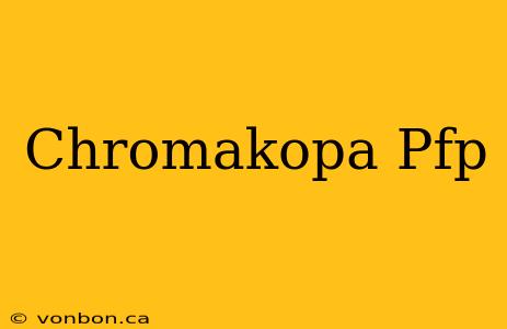 Chromakopa Pfp