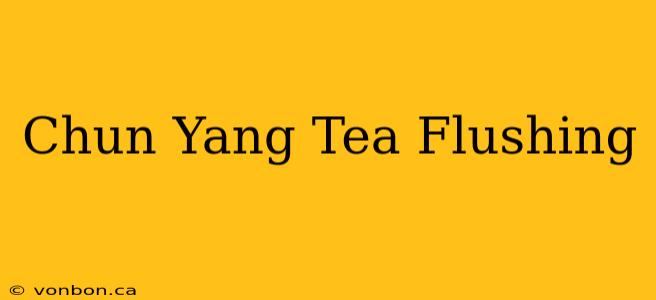 Chun Yang Tea Flushing