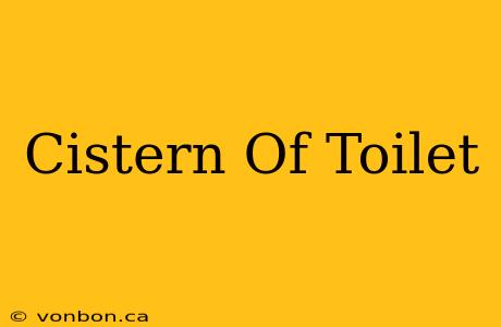 Cistern Of Toilet